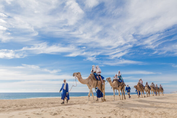 Paseo a camello por el desierto