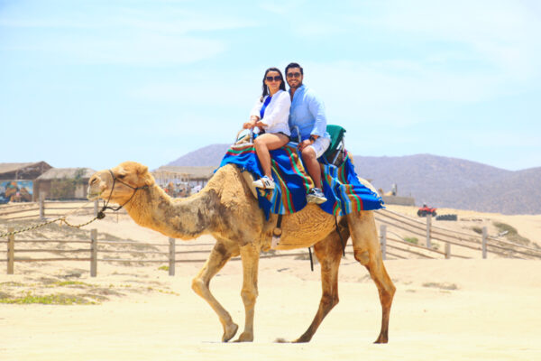 Paseo a camello por el desierto - Imagen 3